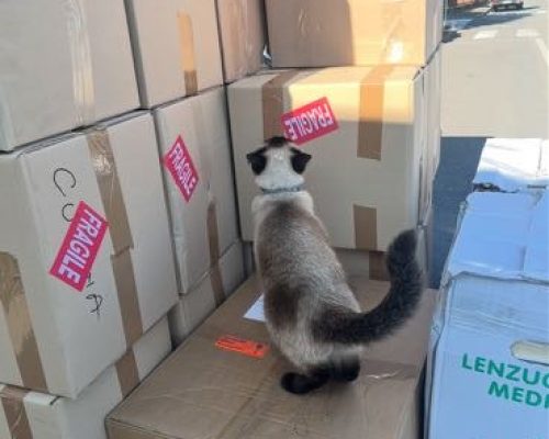 mobili ritirati per deposito mobili a Cinisello Balsamo